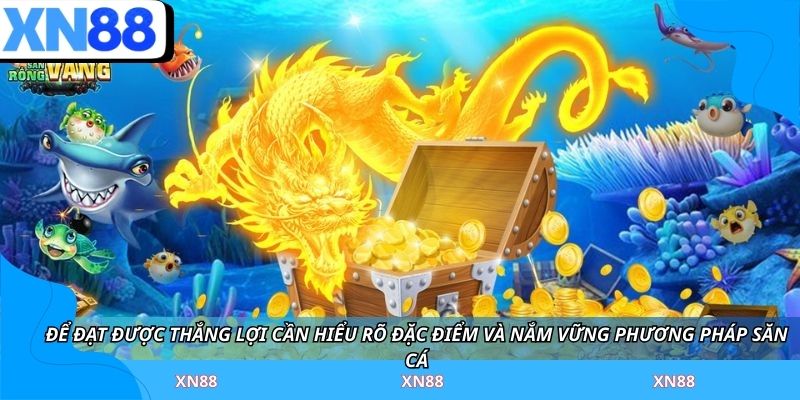 Để đạt được thắng lợi cần hiểu rõ đặc điểm và nắm vững phương pháp săn cá